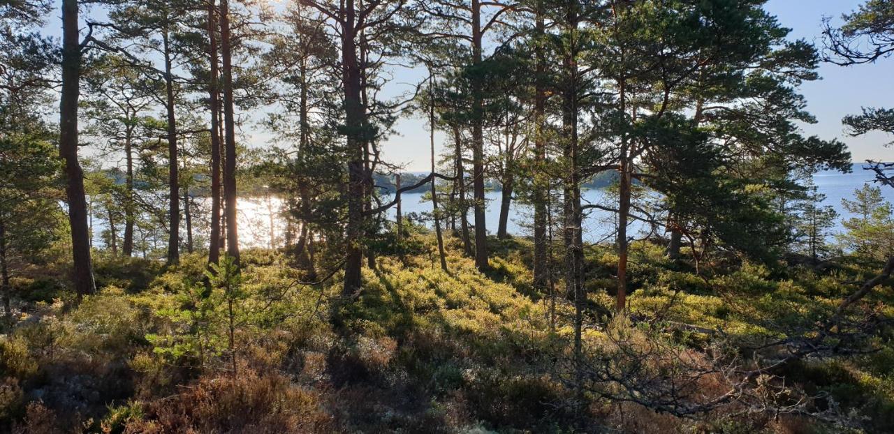Hotel Rolfskaerrs Stugby Nygård Zewnętrze zdjęcie